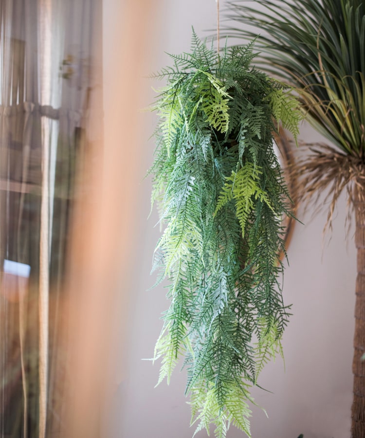 Faux Artificial Asparagus Setaceus Hanging Fern Plant